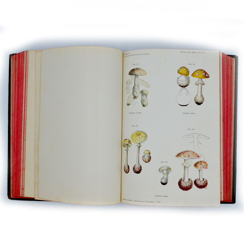 Eulenburg A., проф. Эйленбург А  Реальная энциклопедия практической медицины в XVII томах. 1909-1915