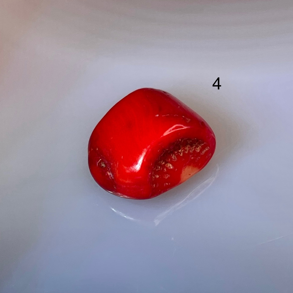 50699 Коралл Галтовка 12-13мм--5