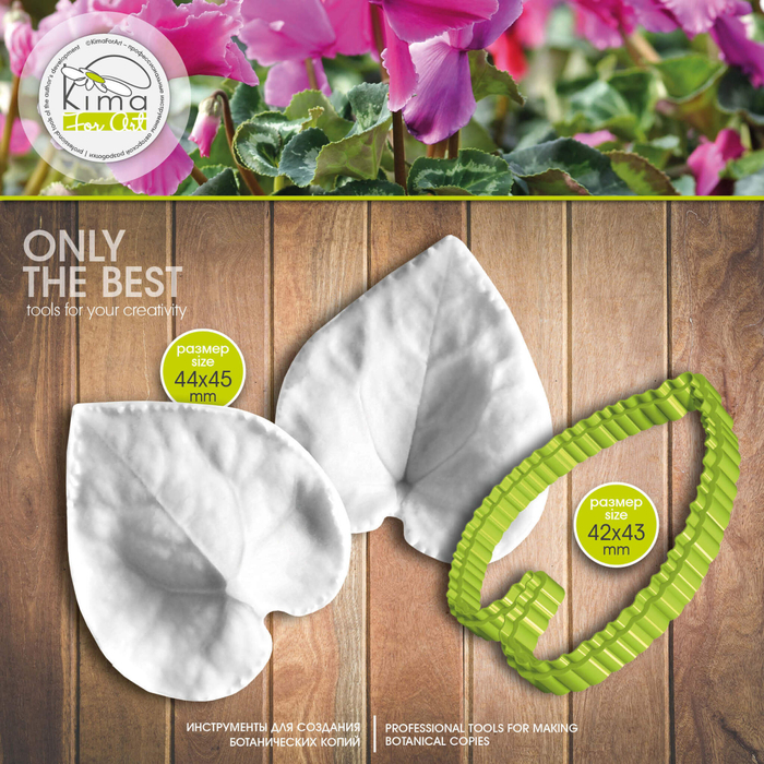 Цикламен лист маленький