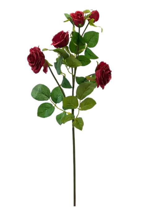 Роза кустовая красная 62 см