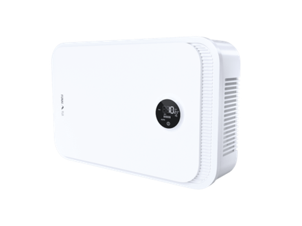 ERW-150X.P Настенная приточно-вытяжная установка FUNAI