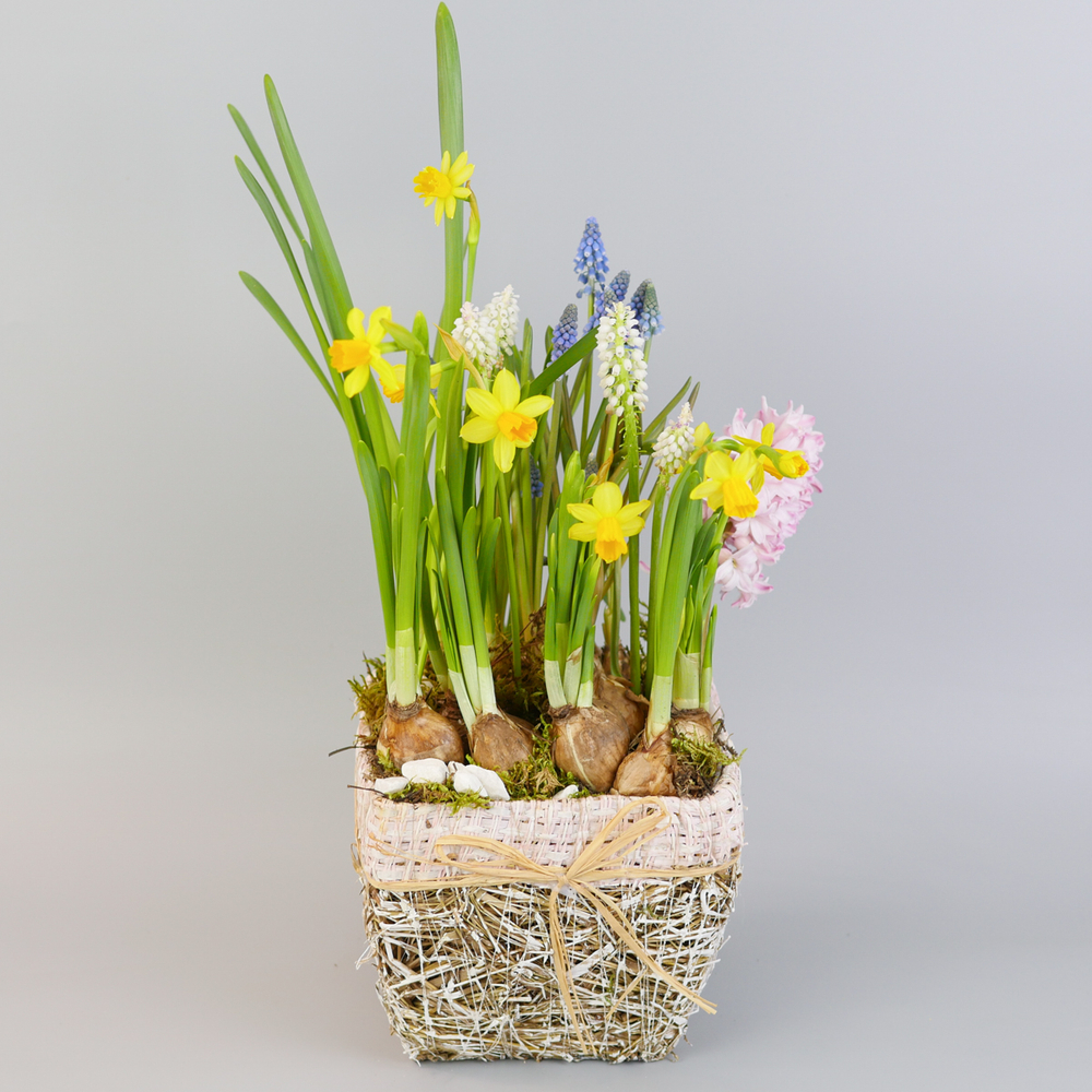 Композиция с первоцветами в розовой корзине