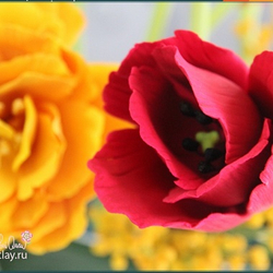 Глина цветная CLAYCRAFT by DECO™ (Желтая)