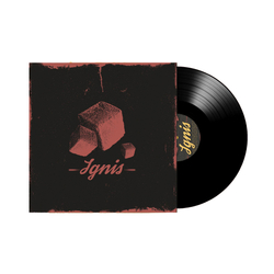 Уголь Ignis 25мм (18шт)