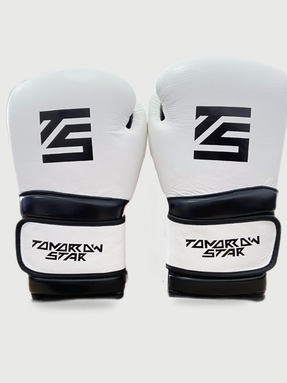 Перчатки боксерские WHITE- BLACK TS 18