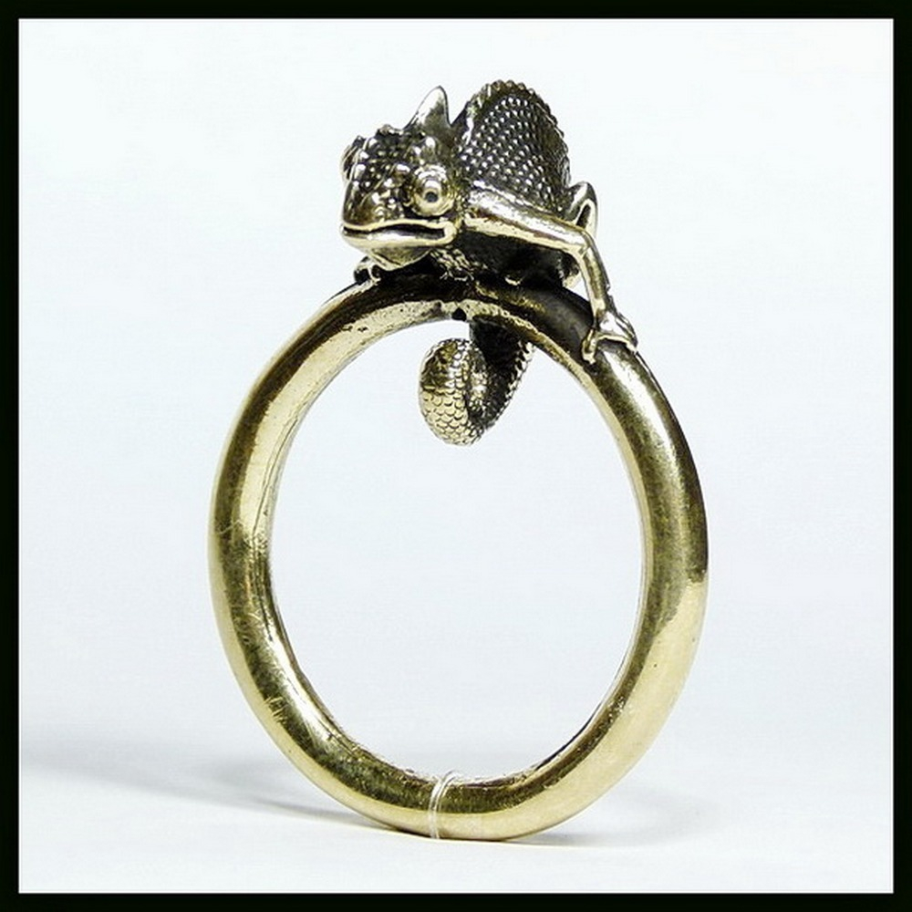 Брелок для ключей "Хамелеон - карманный друг" , латунь