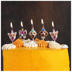 Свечи-фигуры "Собачки в колпачках" 5 шт