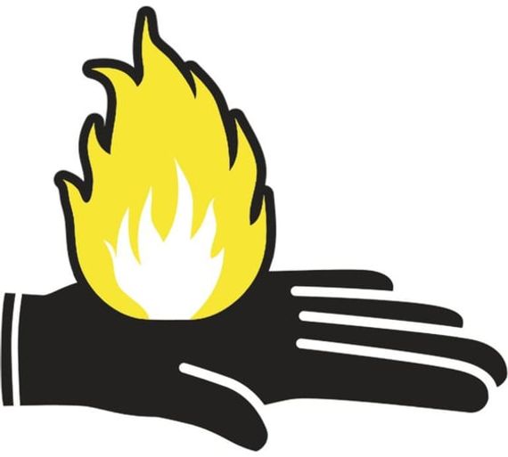 Краги сварщика TER300 Delta Plus TER30009