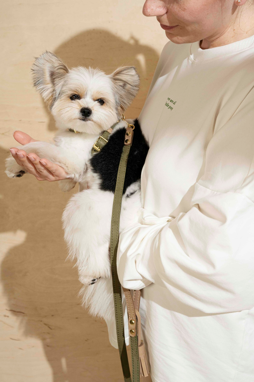 Шлейка "Пони-гулёни" Зеленый и бежевый