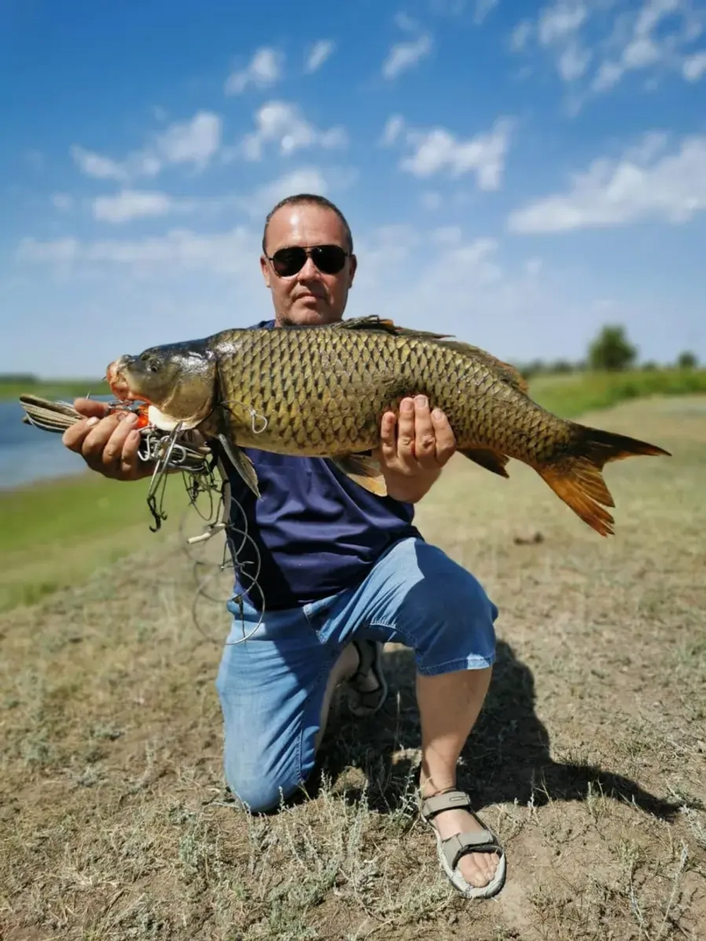 Жмых подсолнечный Посейдон