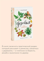 Деревья. Атлас-определитель