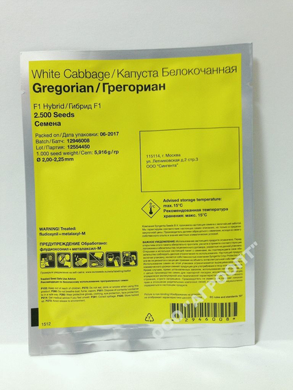 Грегориан F1 семена капусты белокочанной (Syngenta / Сингента) – фото 3