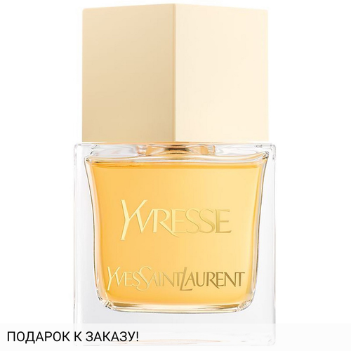 Yves Saint Laurent Yvresse (Champagne)