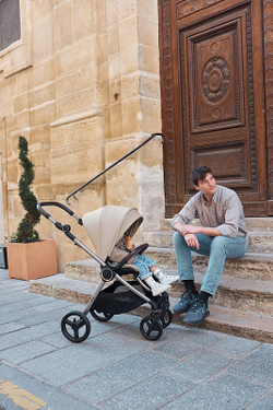 Детская коляска Anex iQ Premium NT 2 в 1 iQ-13-DNA seal