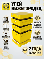 Улей ППУ Нижегородец 10 рамок Комплект 1корпус Дадан + 2 Магазина