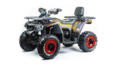 Квадроцикл MOTOLAND WILD TRACK X 200 WINCH