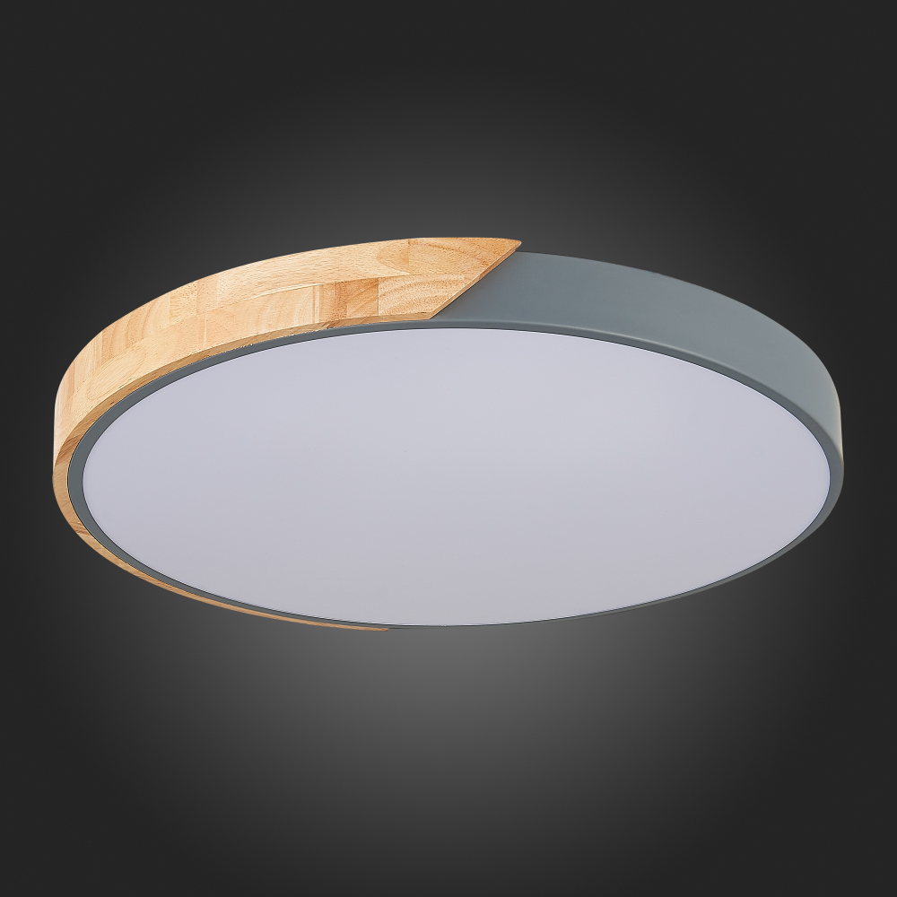 Светильник потолочный Evoluce Festa SLE200972-01