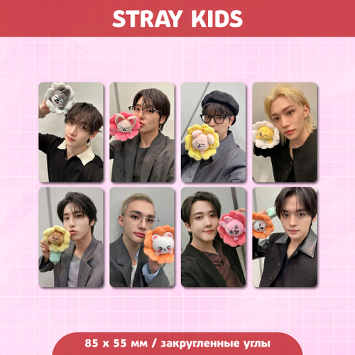 Сет карточек / STRAY KIDS #172