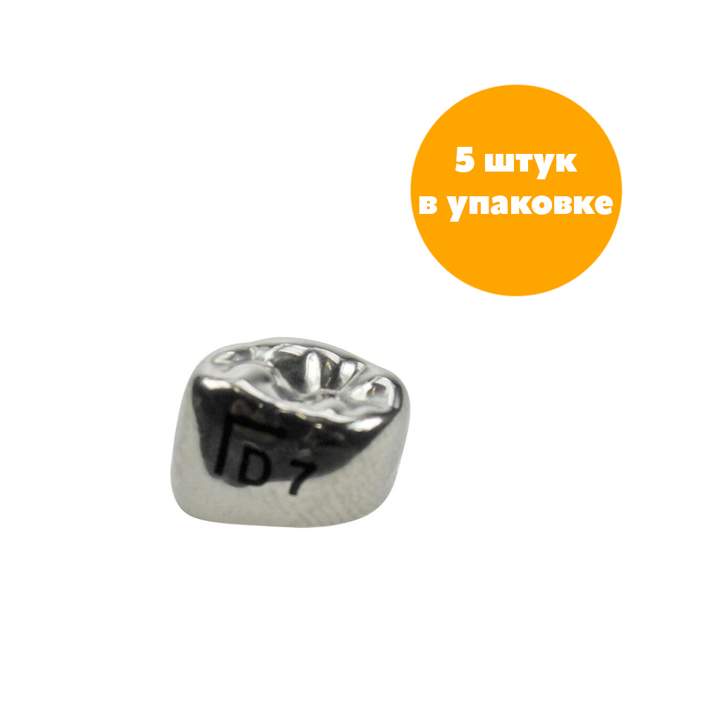 Первый нижний левый моляр, размер 7 (D-LL-7)