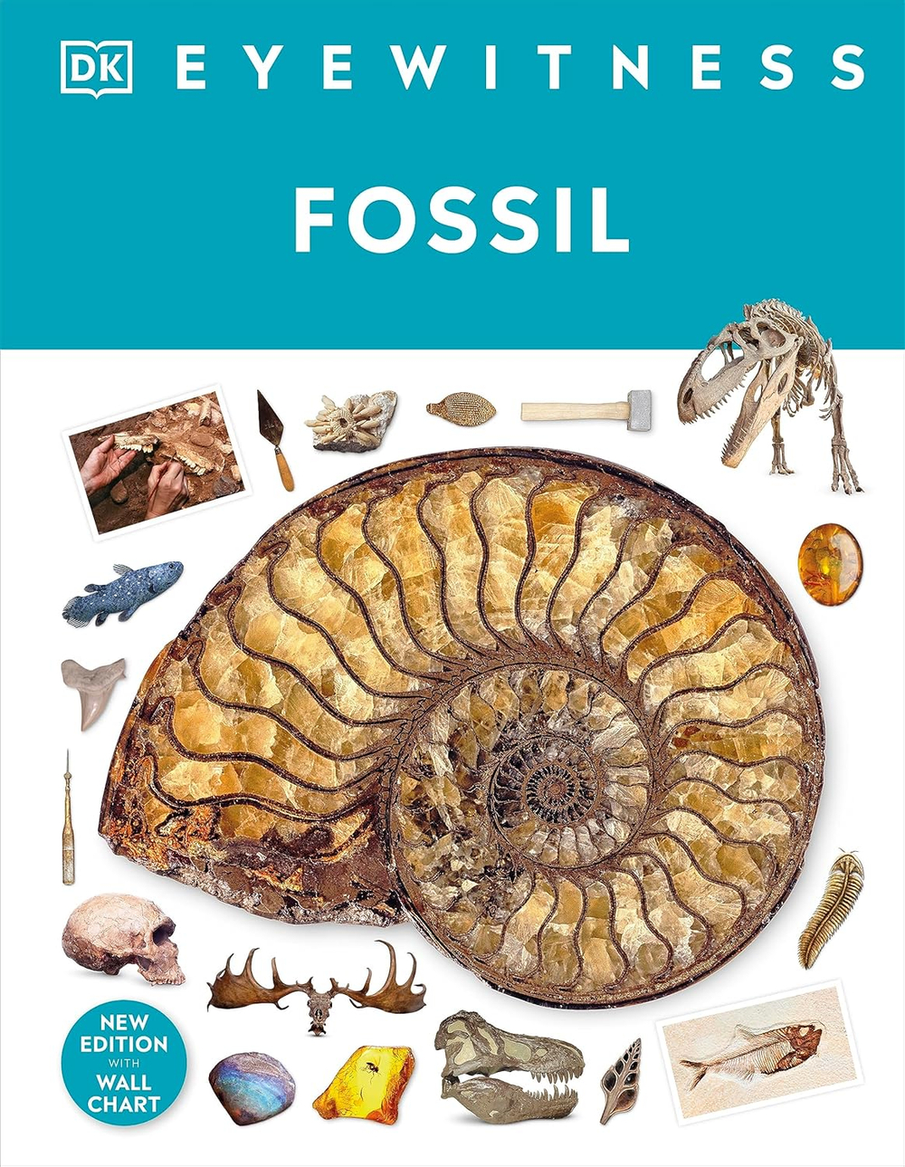 Fossil (DK Eyewitness)