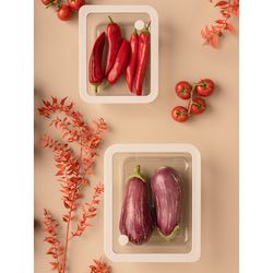 Контейнер для запекания и хранения стеклянный с вакуумным эффектом, 2,6 л, светло-серый