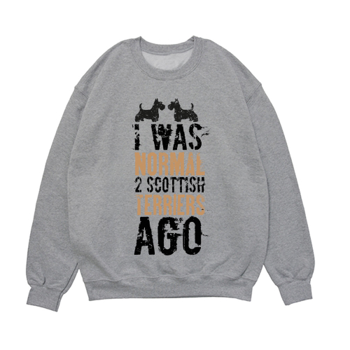 Свитшот "Я был нормальным 2 скотча назад"