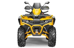 Квадроцикл СТЕЛС ATV 800 Guepard Trophy EPS CVTech (ПСМ)