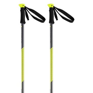 Горнолыжные палки Head Multi S (anthracite/yellow) (21/22)