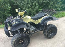 Квадроцикл MOTOLAND 250 ADVENTURE (2021 Г.)