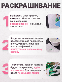 Монстера