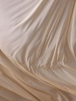 Сетка эластичная оптом Китай A957, (аналог Lauma арт. 556), бежевый