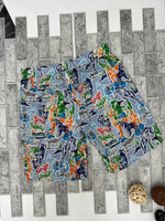 Шорты Hermes
