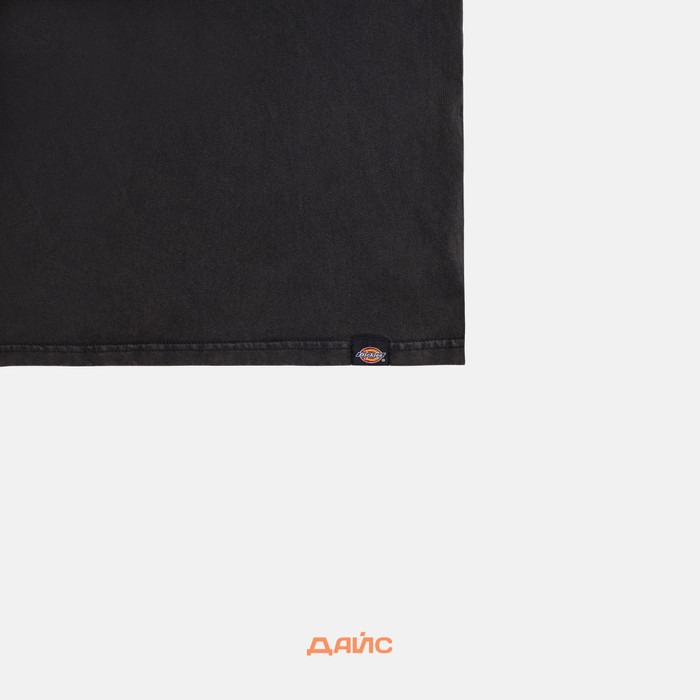 Футболка мужская Dickies Plentywood артикул:DK0A866BH861 - купить в магазине Дайс