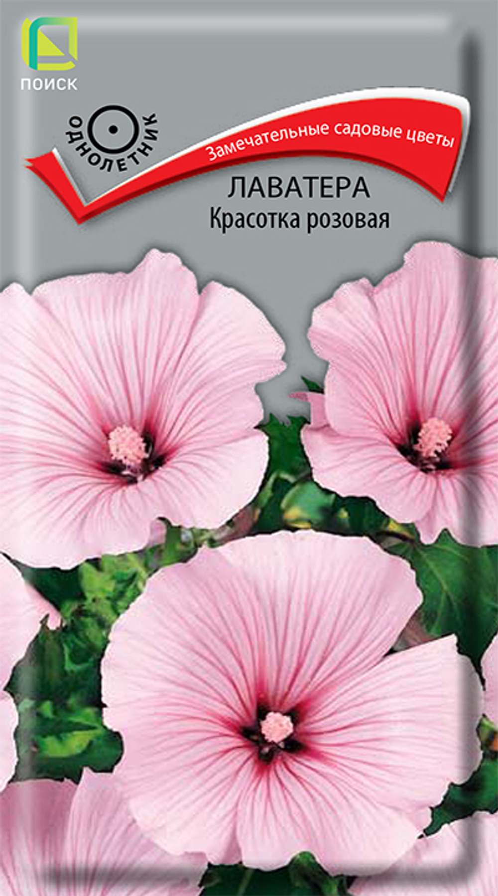 Лаватера Красотка розовая