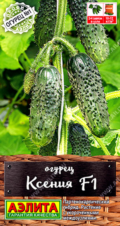 Огурец Ксения F1,       10 сем