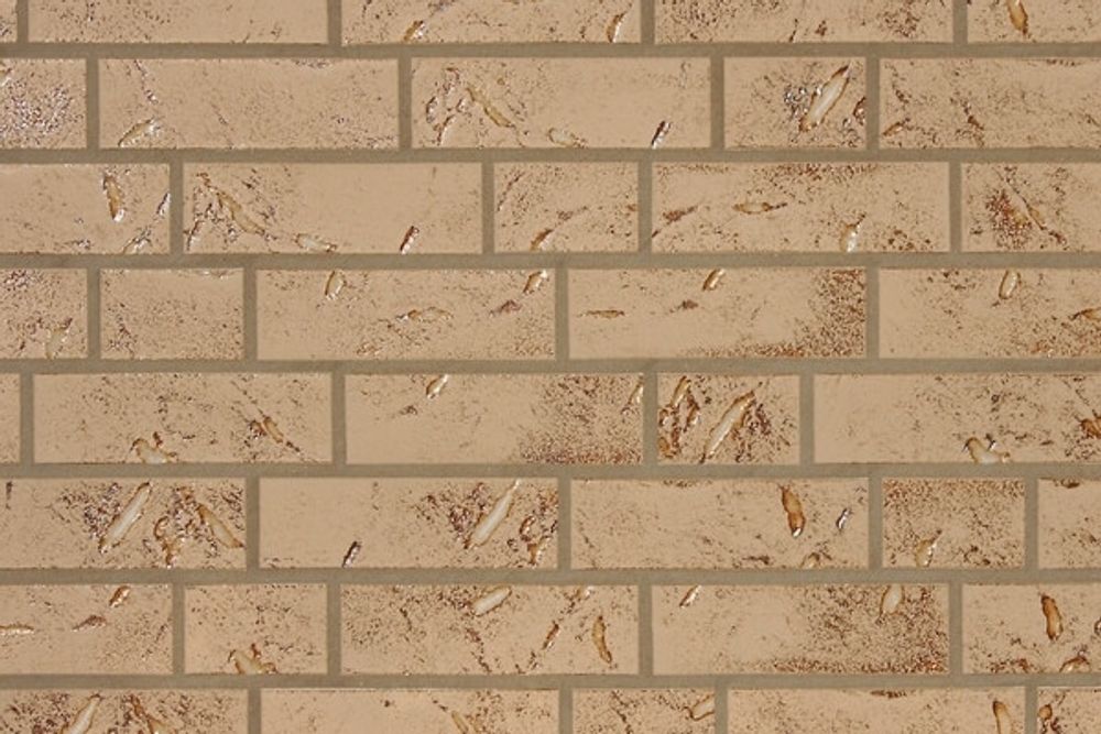 ABC - Austria, Salzburg, 240х71х8, NF - Клинкерная плитка для фасада и внутренней отделки