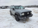 TANK 300 2.0 AT 4WD City Adventure