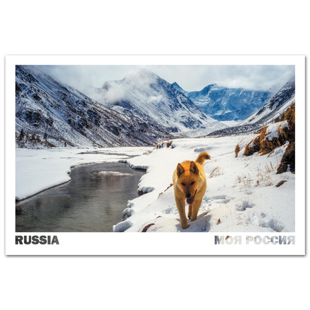 Весенний Аккем и гора Белуха, Алтай