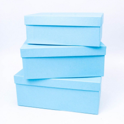 Коробка ПРЯМОУГОЛЬНАЯ 21,5*12,5*8,5