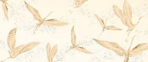 Дизайнерские папка 2 №66 Фотообои и Фрески