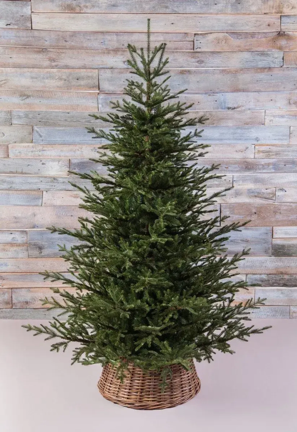 Искусственная ель Французская 215 см., литая хвоя+пвх, Black Box (74378)