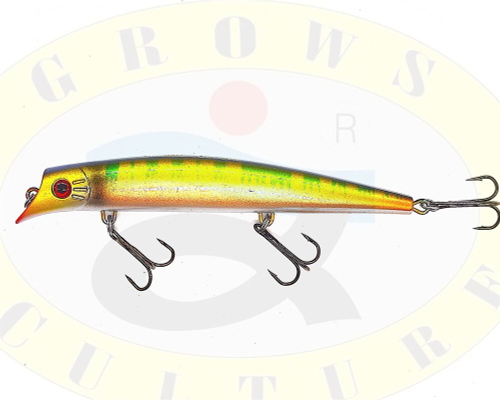 grows culture DARTER 110 цвет 15