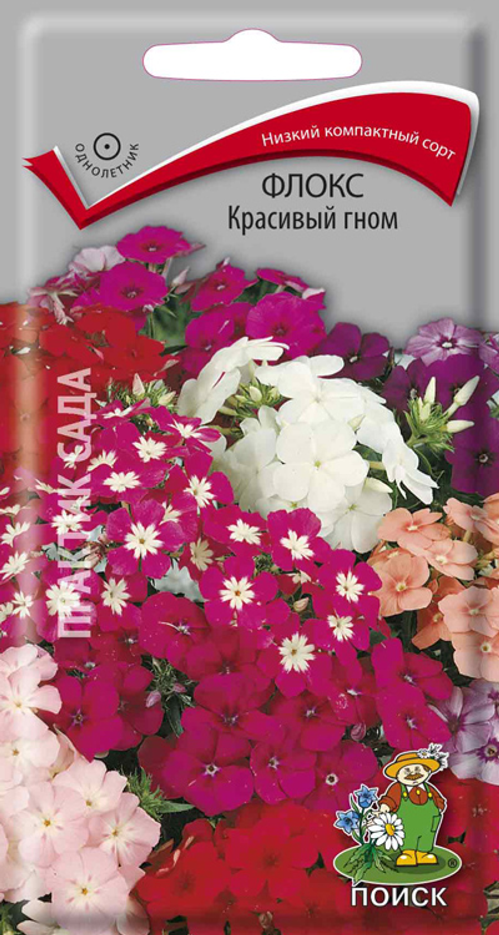 Флокс Красивый гном 0,2г Ц Поиск