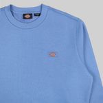  Толстовка мужская Dickies Oakport Sweatshirt артикул:DK0A4XCEH171 - купить в магазине Дайс