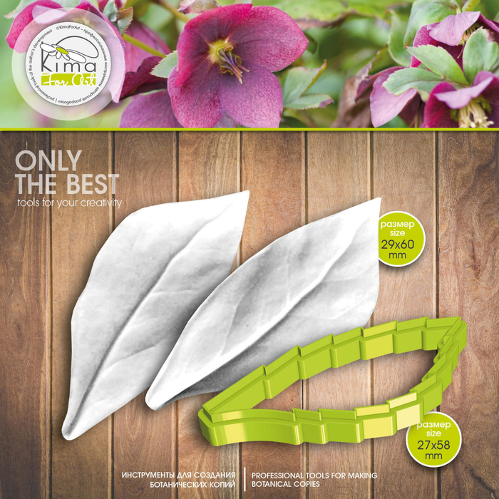 Морозник лист средний