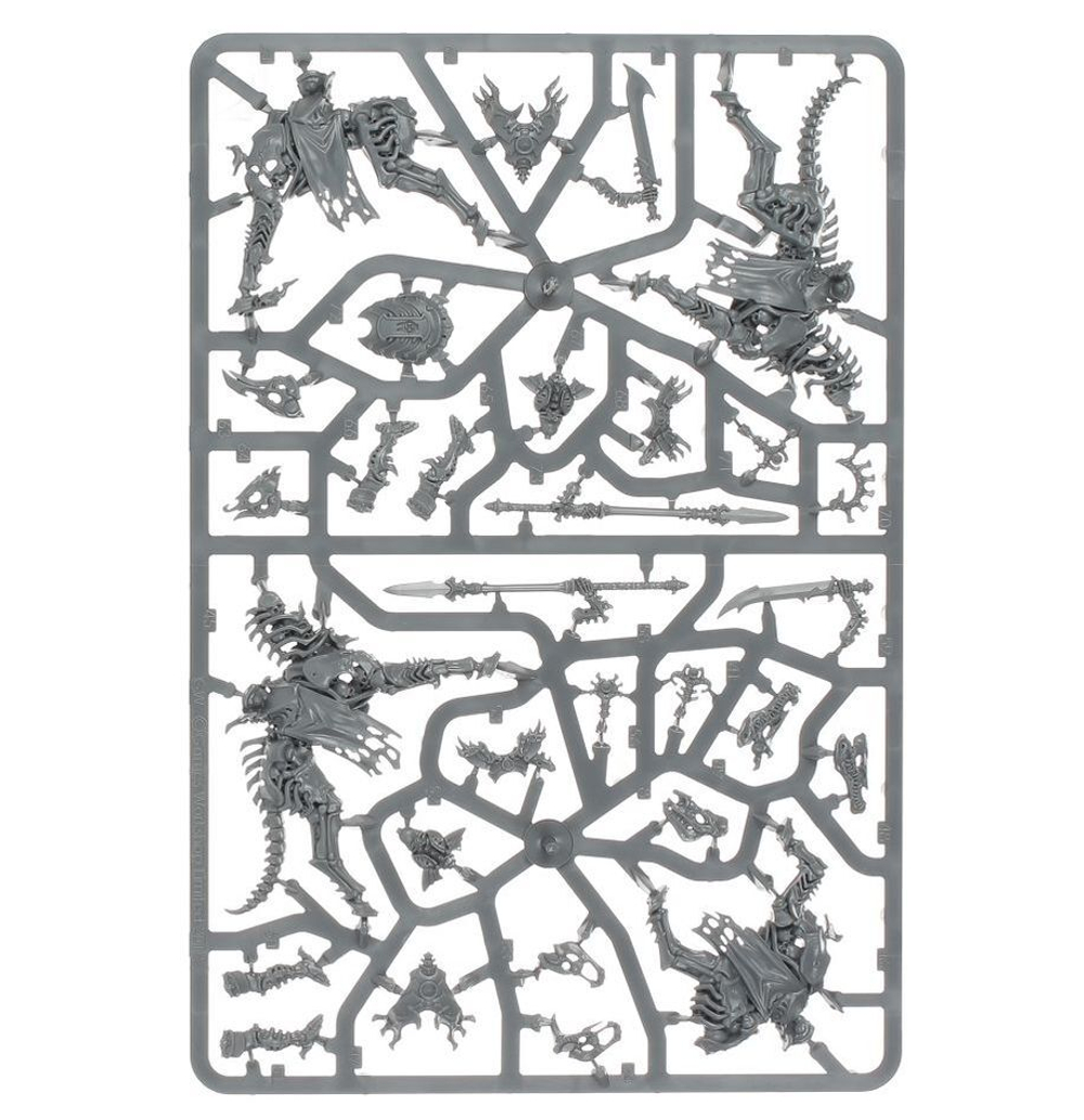 Vanguard: Ossiarch Bonereapers