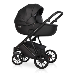 Детская коляска Riko Basic Montana Ecco 2 в 1 12 Black