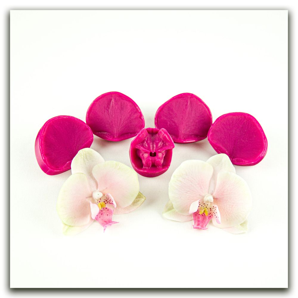 Орхидея фаленопсис M (+боковые лепестки размера S)