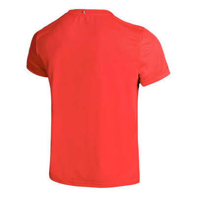 Мужское теннисное поло Fila Logo Small Men - Red