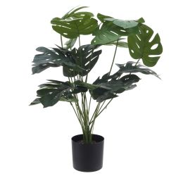 GAEM Цветочная композиция, L12 W12 H70 см